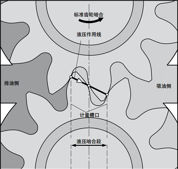 力士樂AZPU系列齒輪泵標準排量方法